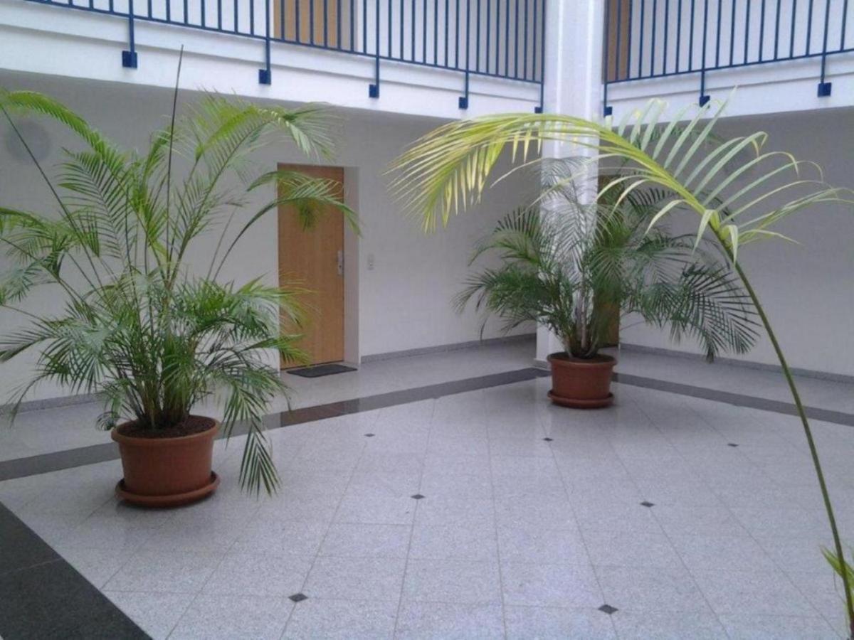 זינקסט Residenz Am Strand Wohnung 2-43 מראה חיצוני תמונה