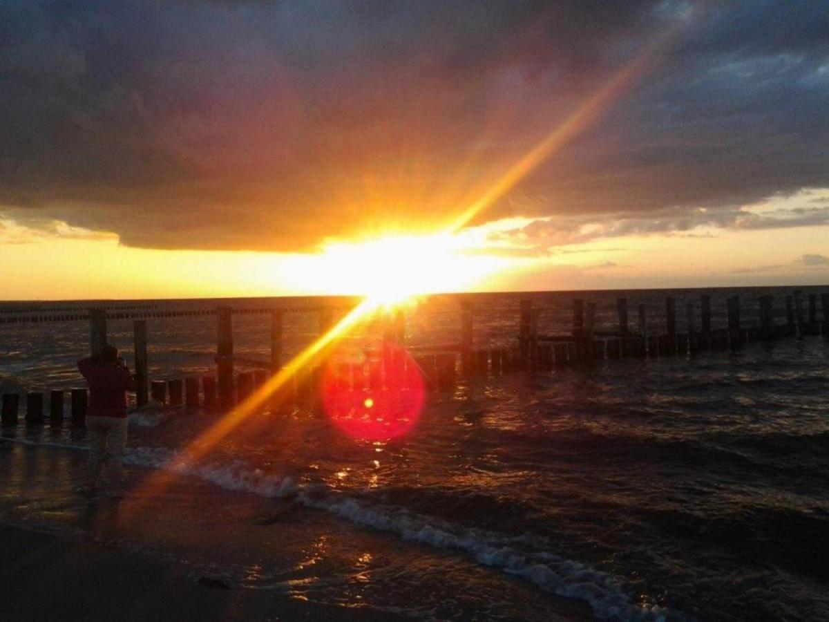 זינקסט Residenz Am Strand Wohnung 2-43 מראה חיצוני תמונה